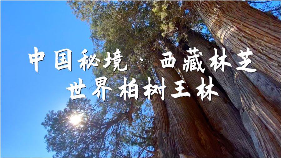 hahabet前往星辰大海